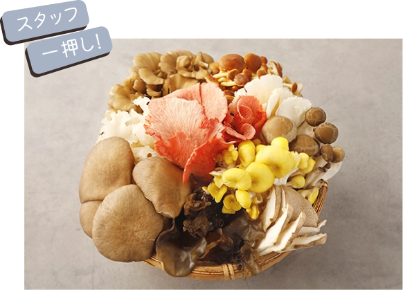 スタッフ一押し！